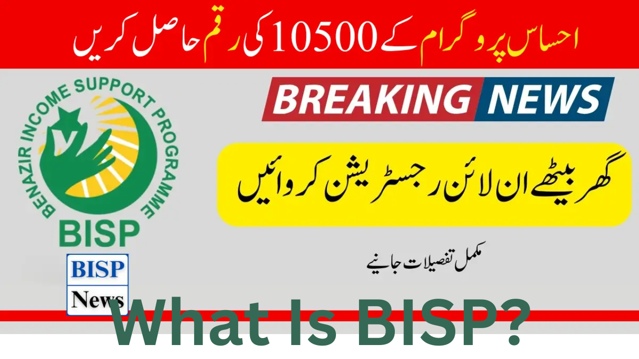 what is bisp?